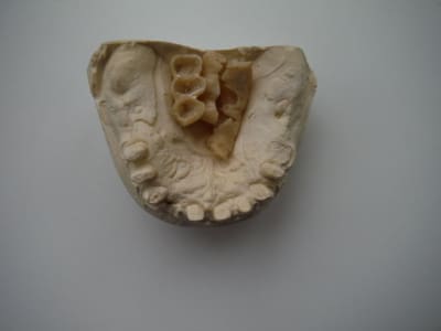 Dscf0452 oxygg4 - Eugenol