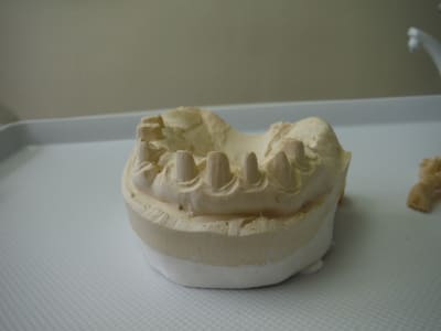 Dscf0453 hfv5o2 - Eugenol