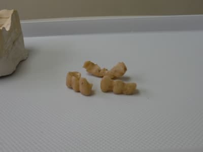 Dscf0457  2  ktwrh7 - Eugenol