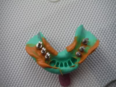 Dscf1086 zvgcgn - Eugenol