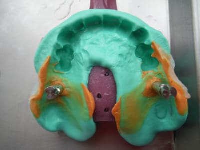 Dscf1092 iyhxfg - Eugenol