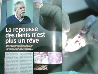 Dscn1576 cd2bvc - Eugenol