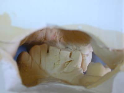 Dscn1859 zlii10 - Eugenol
