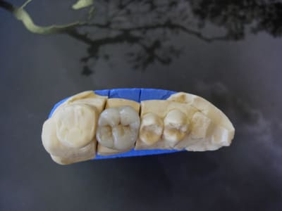 Dscn2364 qmg02l - Eugenol