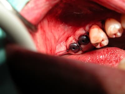 Dscn4443 c5xqxm - Eugenol