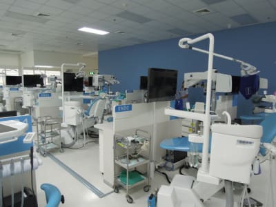 Dscn4634 day68u - Eugenol