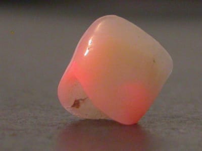 Dscn4953 xey6ng - Eugenol