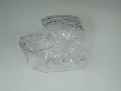 Dscn5047 xspxrc - Eugenol