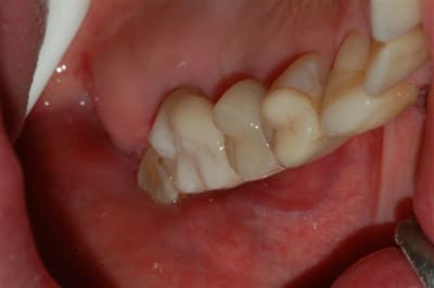 Dsc 0002 vwocdy - Eugenol