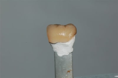 Dsc 0019 jvo6aj - Eugenol