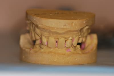 Dsc 0046 rp5uih - Eugenol