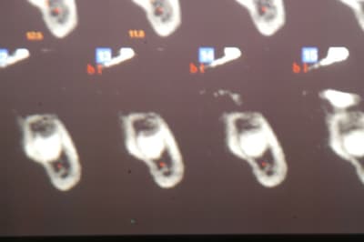 Dsc 0046 zgpxze - Eugenol