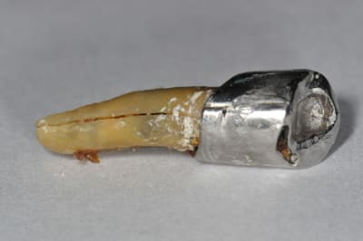 Dsc 0156 usqx8y - Eugenol