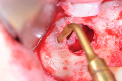 Dsc 0388 e6v6sy - Eugenol