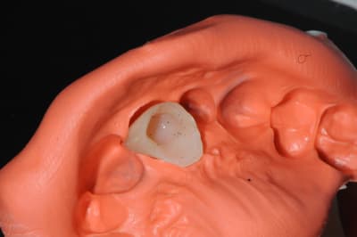 Dsc 0481 f5k3bq - Eugenol