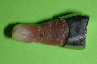 Dsc 0730 yxf6kk - Eugenol