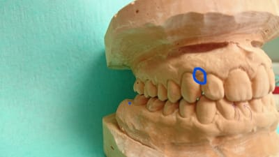 Dsc 0782 anpnxt li h2krlj - Eugenol