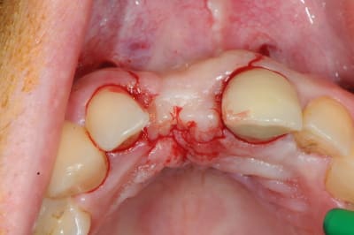 Dsc 1571 vqj3mw - Eugenol
