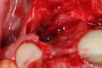 Dsc 1573 jzvmsv - Eugenol