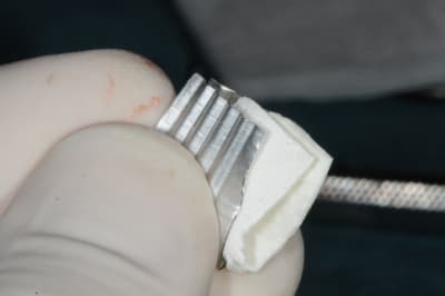 Dsc 2479 oghxqr - Eugenol