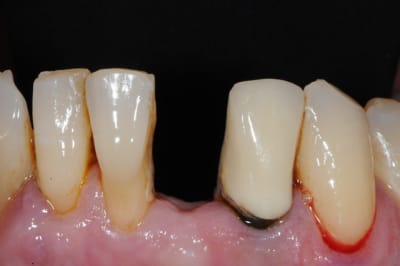 Dsc 2519 jq38ky - Eugenol