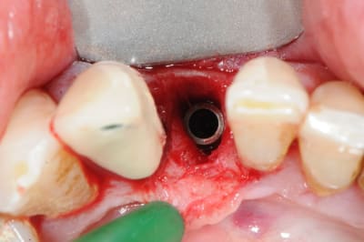 Dsc 2546 blqoye - Eugenol