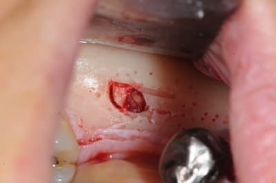 Dsc 2787 mhmsc0 - Eugenol