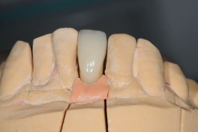 Dsc 3539 kldgfy - Eugenol