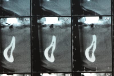 Dsc 3598 uzikqd - Eugenol