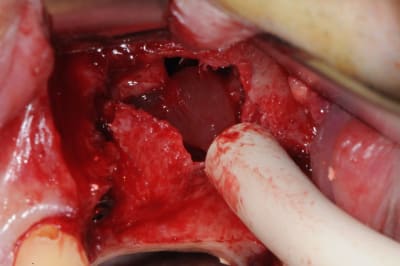 Dsc 3658 vpkhp2 - Eugenol