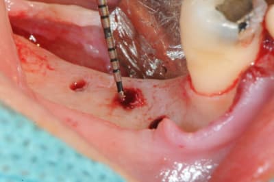 Dsc 4006 x7xmpu - Eugenol