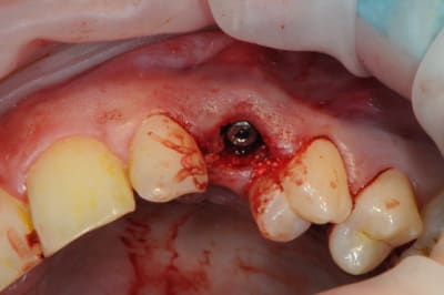 Dsc 4023 cjmwqx - Eugenol