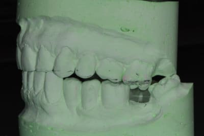 Dsc 4709 a6sdsb - Eugenol