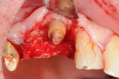 Dsc 5080 bmgmh1 - Eugenol