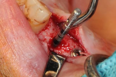 Dsc 5537 xkxqoj - Eugenol