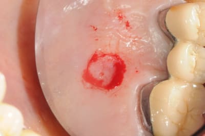 Dsc 5999 p21qvo - Eugenol