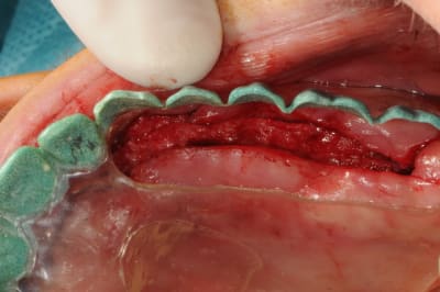 Dsc 6318 kksewr - Eugenol