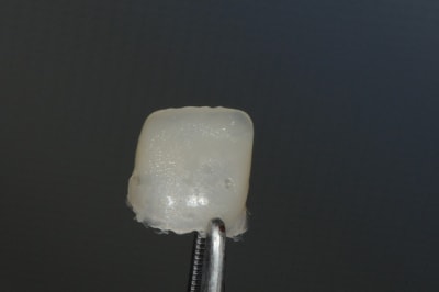 Dsc 6458 uc4zzy - Eugenol