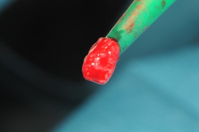 Dsc 6469 rqmh0d - Eugenol