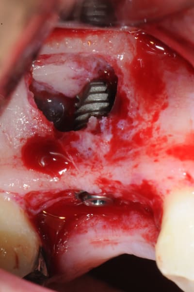 Dsc 7201 nzyz6j - Eugenol