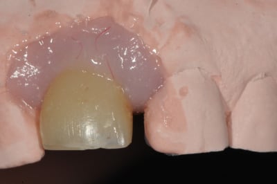 Dsc 8194 zaudvb - Eugenol