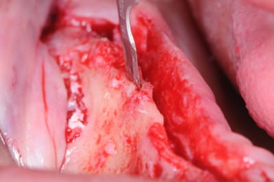Dsc 8841 y4krvw - Eugenol
