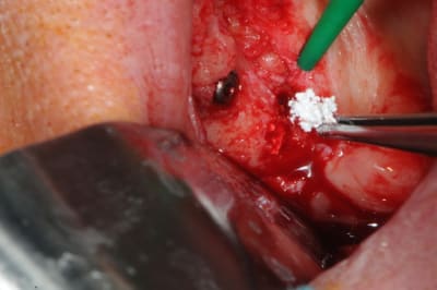 Dsc 9698 vslj7g - Eugenol