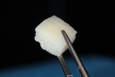 Dsc 9741 bjxcjr - Eugenol
