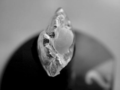 Dscf1214 lkrivj - Eugenol