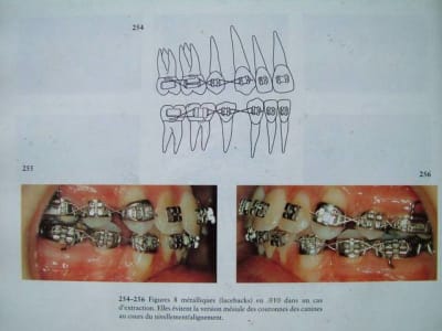 Dscf1320 dnglhk - Eugenol