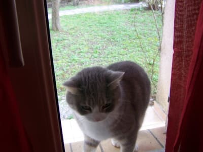 Effraction3 hegzyg - Eugenol