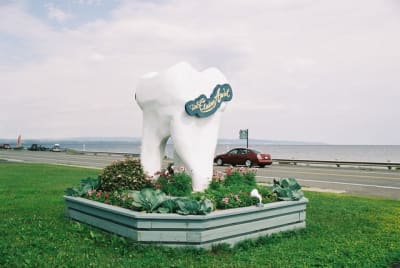 F1080033 lf1rrj - Eugenol