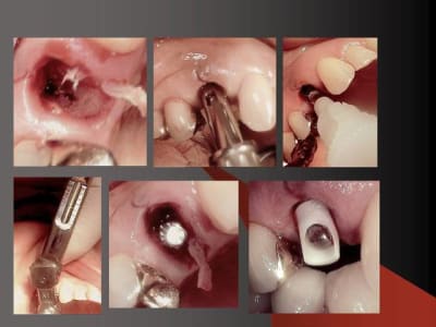 Folie8 xenvg2 - Eugenol