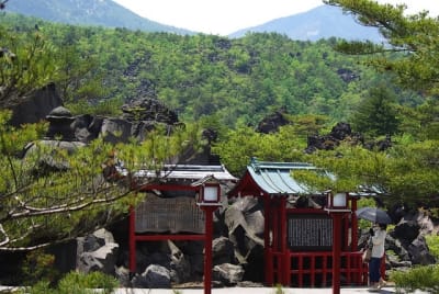 Gkz  1  l69s5a - Eugenol